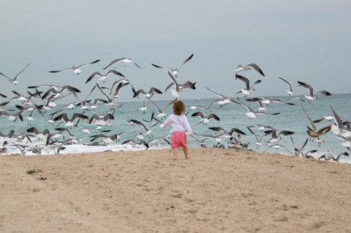 beach,birds,child,innocence,sea,seagulls-d0937bacb27435672f922241ef5cd2ff_h