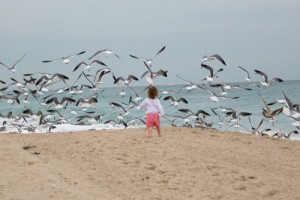 beach-birds-child-innocence-sea-seagulls-d0937bacb27435672f922241ef5cd2ff_h.jpg